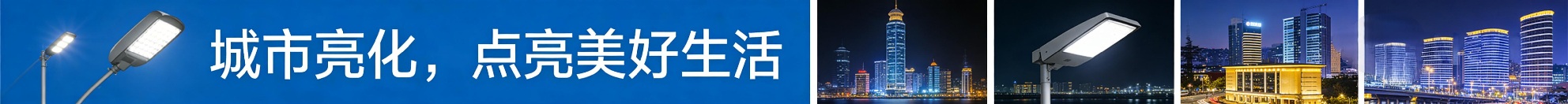 宁波市照明电器行业协会 1